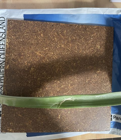 Early LeafCore composite panel prototype